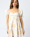Sitting Pretty Babydoll Dress