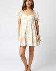 Sitting Pretty Babydoll Dress