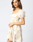 Sitting Pretty Babydoll Dress